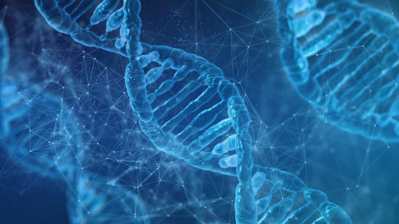 DNA-onderzoek naar herkomst klachten